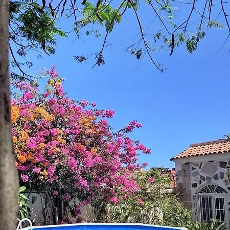 Tenerife Holiday 別荘